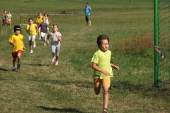 3tpb_20110911_1466574472