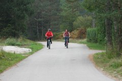 fot_0022_20090921_1072385085