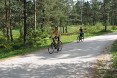 img_0023_20120916_1000694005