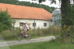 img_0025_20120916_1921111162