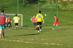 stari_mladi_2010_20100713_1083574837