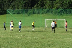 stari_mladi_2010_20100713_1436252389