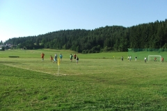 stari_mladi_2010_20100713_1804827035