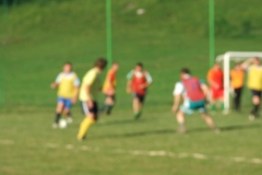 stari_mladi_2010_20100713_1994238646