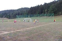 stari_-_mladi_2011_7_20110919_1792394430